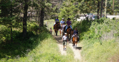 Okanagan Stables Horse Rides