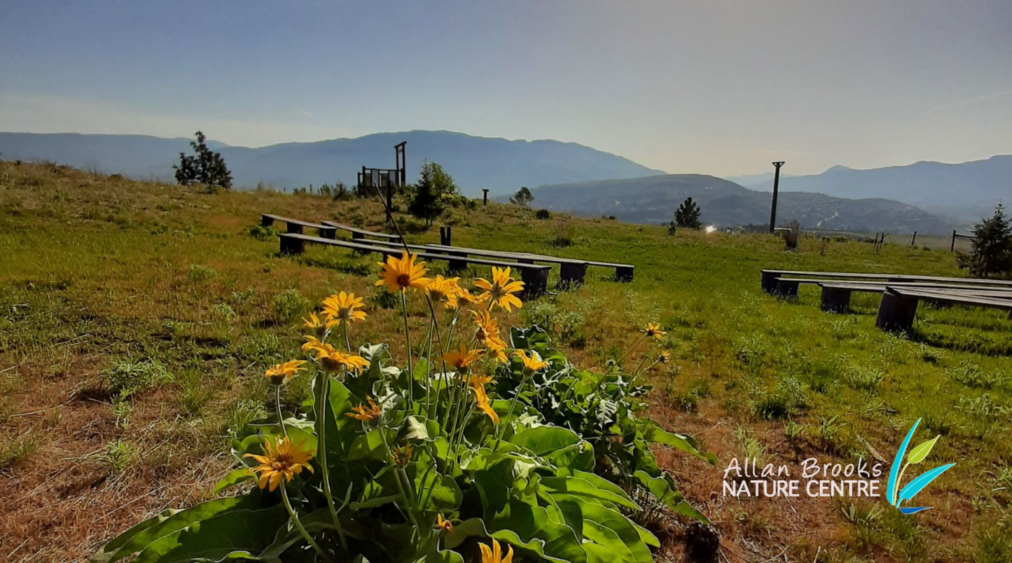 Allan Brooks Nature Centre