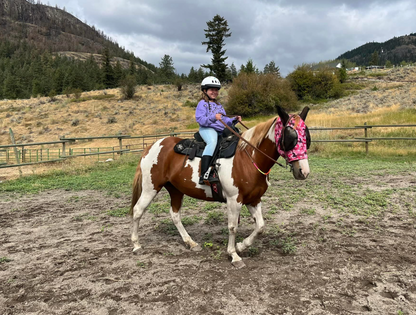Sagebrush Ranch Pony Parties + Events