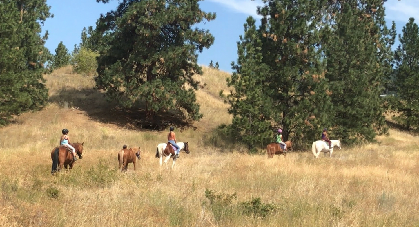 Willow Grove's Riding School + Pony Parties