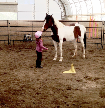 Willow Grove's Riding School + Pony Parties