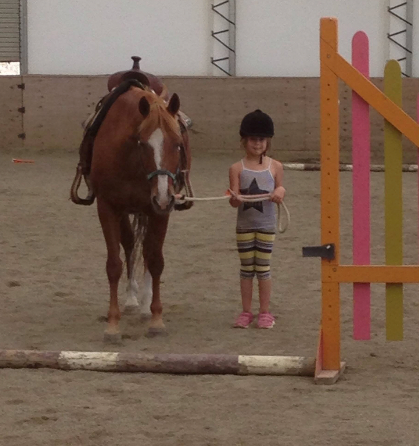 Willow Grove's Riding School + Pony Parties