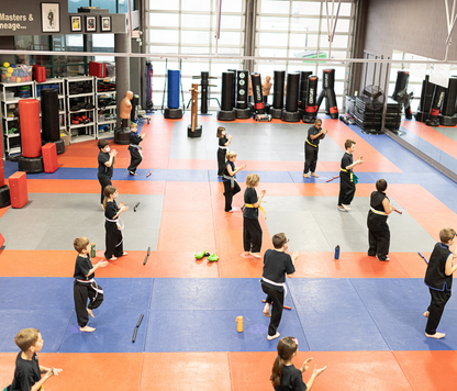 Great Way Martial Arts Classes, Birthdays & Camps