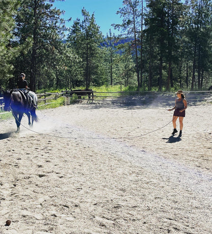 Tracy Graystar — Horse Camps & Coaching