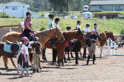 Kyra Londos Equestrian: Pony Rides, Lessons, Camps & Birthdays